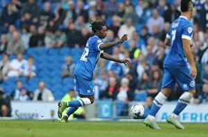 Images Dated 3rd October 2015: Brighton and Hove Albion vs. Cardiff City: Sky Bet Championship Showdown at American Express