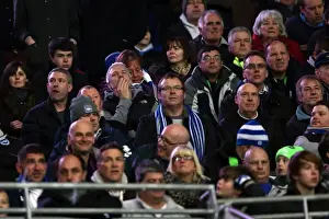 Cardiff City - 19-02-2013 Prints: Brighton & Hove Albion vs. Cardiff City: 2012-13 Away Game Highlights