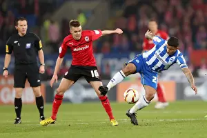 Cardiff City - 19-02-2013 Prints: Brighton & Hove Albion vs. Cardiff City: 2013 Away Game, 19-02-2013 (Season 2012-13)