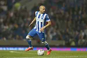 Brighton & Hove Albion vs. Cardiff City: 30 September 2014 (Cardiff City 3)