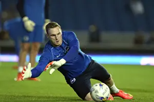 Brighton & Hove Albion vs. Cardiff City: 30 September 2014 (Cardiff City 30SEP14)
