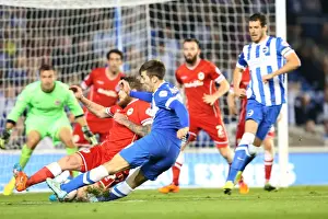 Brighton & Hove Albion vs. Cardiff City: 30 September 2014 (Cardiff City 30SEP14)