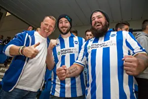 Brighton & Hove Albion vs. Cardiff City: 30 September 2014 (Cardiff City 30SEP14)