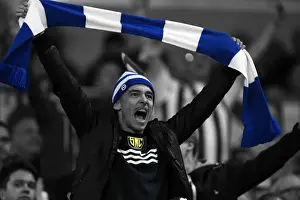 Brighton & Hove Albion vs. Cardiff City: 30 September 2014 (Cardiff City Home Game)