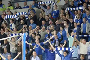 Brighton & Hove Albion vs. Cardiff City: 30 September 2014 (Cardiff City Home Game)