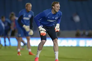 Brighton & Hove Albion vs. Cardiff City: 30 September 2014 (Cardiff City Home Game)