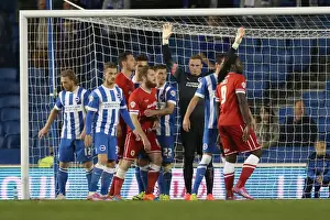 Brighton & Hove Albion vs. Cardiff City: 30 September 2014 (Cardiff City Home Game)