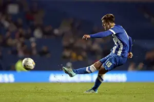 Brighton & Hove Albion vs. Cardiff City: 30 September 2014 (Cardiff City Home Game)