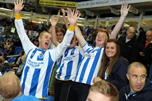 Brighton & Hove Albion vs. Cardiff City: 30SEP14 (Home Game)