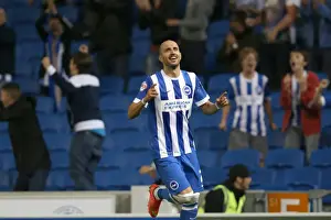 Brighton & Hove Albion vs. Cardiff City: 30SEP14 (Home Game)