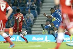 Brighton & Hove Albion vs. Cardiff City: 30SEP14 (Home Game)