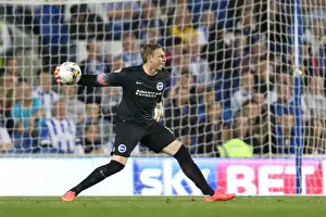 Brighton & Hove Albion vs. Cardiff City: 30SEP14 (Home Game)