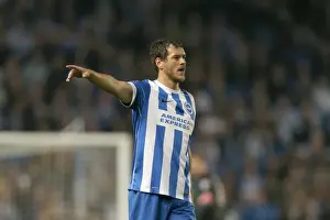 Brighton & Hove Albion vs. Cardiff City: 30SEP14 (Home Game)