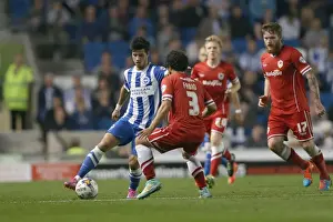 Brighton & Hove Albion vs. Cardiff City: 30SEP14 (Home Game)