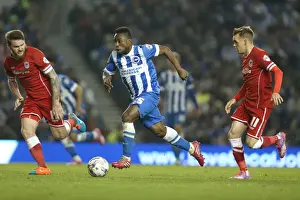 Brighton & Hove Albion vs. Cardiff City: 30SEP14 (Home Game)