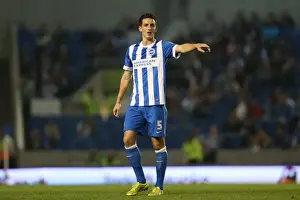 Brighton & Hove Albion vs. Cardiff City: 30SEP14 (Home Game)