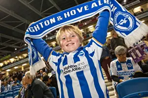 Brighton & Hove Albion vs. Cardiff City: 30SEP14 (Home Game)