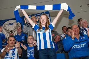 Brighton & Hove Albion vs. Cardiff City: 30SEP14 (Home Game)