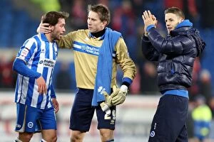 Images Dated 19th February 2013: Brighton & Hove Albion vs. Cardiff City: 2013 Away Clash from the 2012-13 Season