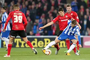 Cardiff City - 19-02-2013 Prints: Brighton & Hove Albion vs. Cardiff City (Away): 19-02-2013 - Season 2012-13