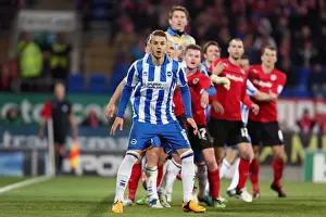 Cardiff City - 19-02-2013 Prints: Brighton & Hove Albion vs. Cardiff City (Away): 19-02-2013 - Season 2012-13