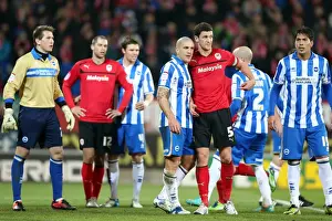 Cardiff City - 19-02-2013 Prints: Brighton & Hove Albion vs. Cardiff City (Away) - 19-02-2013: Season 2012-13 Away Game