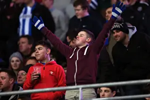 Cardiff City - 19-02-2013 Prints: Brighton & Hove Albion vs. Cardiff City (Away) - 19-02-2013: Season 2012-13 Away Game