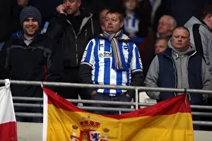 Brighton & Hove Albion vs. Cardiff City (Away) - 19-02-2013: Season 2012-13 Away Game