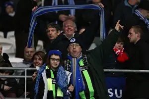 Cardiff City - 19-02-2013 Prints: Brighton & Hove Albion vs. Cardiff City (Away) - 19-02-2013: Season 2012-13 Away Game