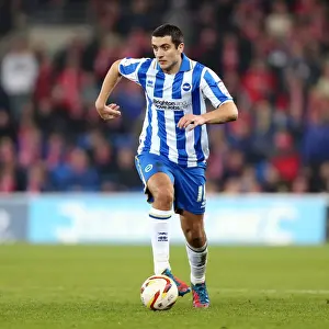 Cardiff City - 19-02-2013 Prints: Brighton & Hove Albion vs. Cardiff City (Away) - 19-02-2013: Season 2012-13 Away Game