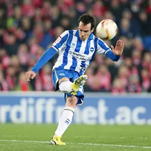 Cardiff City - 19-02-2013 Prints: Brighton & Hove Albion vs. Cardiff City (Away) - 19-02-2013: Season 2012-13 Away Game Highlights