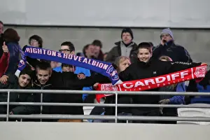 Cardiff City - 19-02-2013 Prints: Brighton & Hove Albion vs. Cardiff City (Away): 19-02-2013 - Season 2012-13 Highlights