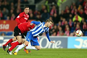 Cardiff City - 19-02-2013 Prints: Brighton & Hove Albion vs. Cardiff City (Away), 19-02-2013