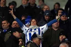 Images Dated 19th February 2013: Brighton & Hove Albion vs. Cardiff City (Away): 19-02-2013 - Season 2012-13