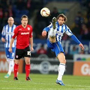 Images Dated 19th February 2013: Brighton & Hove Albion vs. Cardiff City (Away) - 19-02-2013: Season 2012-13 Away Game