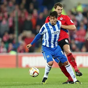 Cardiff City - 19-02-2013 Prints: Brighton & Hove Albion vs. Cardiff City (Away) - Exciting 2012-13 Season Match