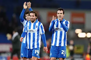 Cardiff City - 19-02-2013 Prints: Brighton & Hove Albion vs. Cardiff City (Away): A Look Back at the Exciting 2012-13 Season Match