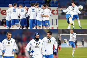 Brighton & Hove Albion vs. Cardiff City (Away) - Reliving the Thrilling 2012-13 Season Encounter