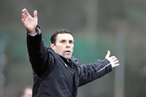 Brighton & Hove Albion vs. Carlisle United: Home Game, 2010-11 Season