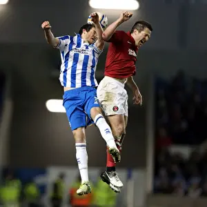 Brighton & Hove Albion vs Charlton Athletic (02-04-2013) - A Glimpse into the 2012-13 Home Season