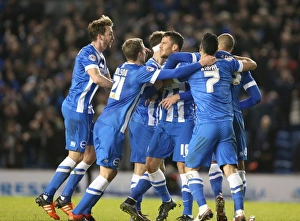 Brighton and Hove Albion vs Charlton Athletic: Sky Bet Championship Showdown at American Express Community Stadium (05DEC15)
