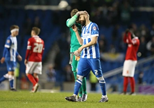 Brighton and Hove Albion vs Charlton Athletic: Sky Bet Championship Showdown at American Express Community Stadium (05DEC15)