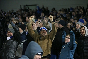 Brighton and Hove Albion vs Charlton Athletic: Sky Bet Championship Showdown at American Express Community Stadium (05DEC15)