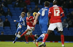 Brighton and Hove Albion vs Charlton Athletic: Sky Bet Championship Showdown at American Express Community Stadium (05DEC15)
