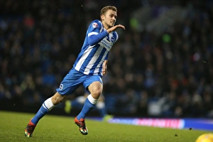 Brighton and Hove Albion vs Charlton Athletic: Sky Bet Championship Showdown at American Express Community Stadium (05DEC15)