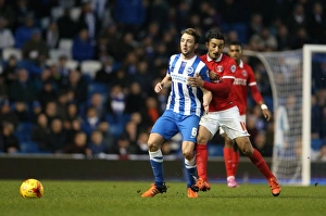 Brighton and Hove Albion vs Charlton Athletic: Sky Bet Championship Showdown at American Express Community Stadium (05DEC15)