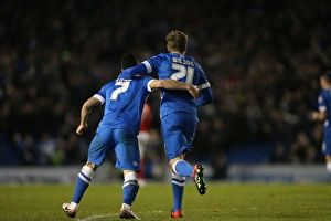 Charlton Athletic 05DEC15 Prints: Brighton and Hove Albion vs Charlton Athletic