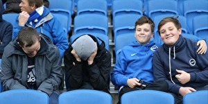Brighton and Hove Albion vs Charlton Athletic: Sky Bet Championship Showdown at American Express Community Stadium (5th December 2015)