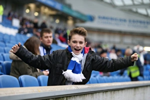 Brighton and Hove Albion vs Charlton Athletic: Sky Bet Championship Showdown at American Express Community Stadium (5th December 2015)
