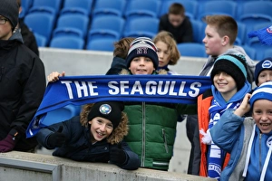 Brighton and Hove Albion vs Charlton Athletic: Sky Bet Championship Showdown at American Express Community Stadium (05DEC15)